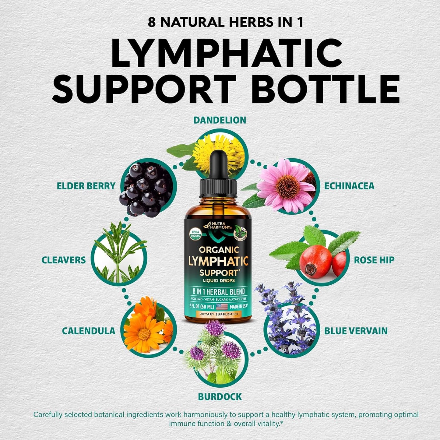 USDA Organic Lymphatic Drainage Supplement - Echinacea | Elderberry | Dandelion | Rosehip | Cleavers | Calendula | Burdock - Made in USA - Lymph System Drops - Immune Support, Cleanse & Detox, 2 Fl Oz