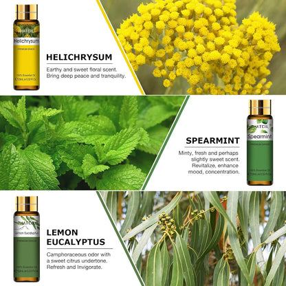 Premium Essential Oil Set - 9X10Ml Pure Essential Oils for Massage, Aromatherapy, Diffusers, DIY - 0.33Fl.Oz/Bottle