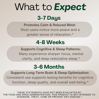 MAGPLUS+ Magnesium L-Threonate Supplement – Liposomal High Absorption with Apigenin & L-Theanine – Deep Sleep, Calm Mood, Brain & Memory Support