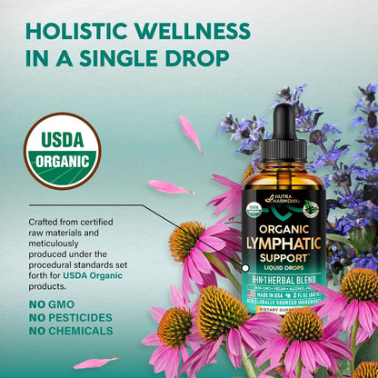 USDA Organic Lymphatic Drainage Supplement - Echinacea | Elderberry | Dandelion | Rosehip | Cleavers | Calendula | Burdock - Made in USA - Lymph System Drops - Immune Support, Cleanse & Detox, 2 Fl Oz