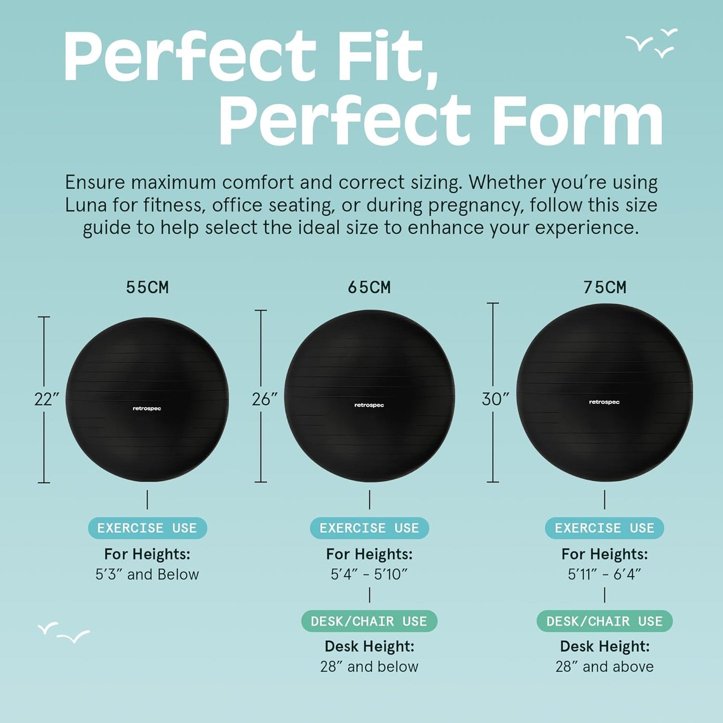 Luna Exercise Ball, Base & Pump/Ball & Pump with Anti-Burst Material - Fitness Gym Swiss Ball - Perfect for Balance, Stability, Yoga, Pilates, Pregnancy & Birthing