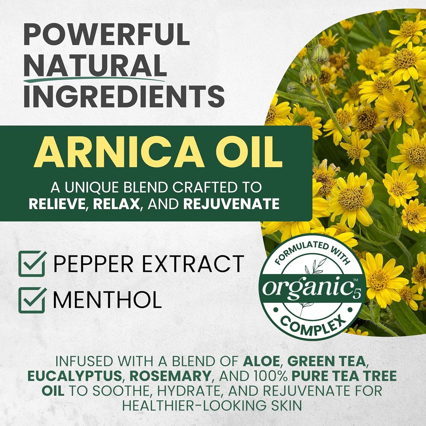 Sore Muscle Massage Oil for Massage Therapy | Arnica, Eucalyptus & Tea Tree Oil Blend for Deep Muscle Relief & Recovery, Softens Skin & anti Cellulite Care – Professional & Home Use (2-Pack)