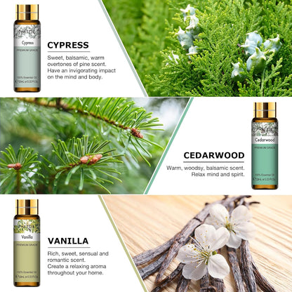 Premium Essential Oil Set - 9X10Ml Pure Essential Oils for Massage, Aromatherapy, Diffusers, DIY - 0.33Fl.Oz/Bottle