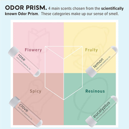 Smell Training Kit, Made in USA, 4 Essential Oils, Olfactory Regeneration, Helps Restore Sense of Smell, Natural Therapy for Smell Loss (Phase 1)