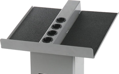 Large Column Stand, Dumbbell Rack & Weight Rack,Silver/Black