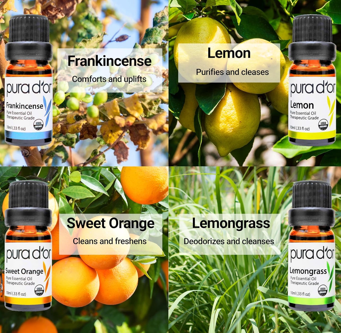 Organic Sweet16 Essential Oils Set - 16X 10Ml Wood Box Aromatherapy Gift Set - 100% Pure Therapeutic Grade for Relaxation and Wellness (Lavender, Rosemary, Turmeric, Ylang Ylang & More)