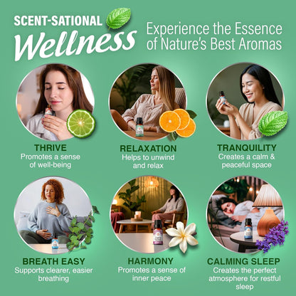 Essential Oil Blends (Set of 6) - Natural Essential Oil Set, Aromatherapy Oil Blends for Diffusers - Breathe Easy, Tranquility, Harmony, Calming Sleep, Relaxation & Thrive