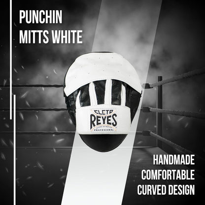 Boxing Punching Mitts, Focus Sparring Striking Training Punch Pads, MMA, Kickboxing, Muay Thai, Leather